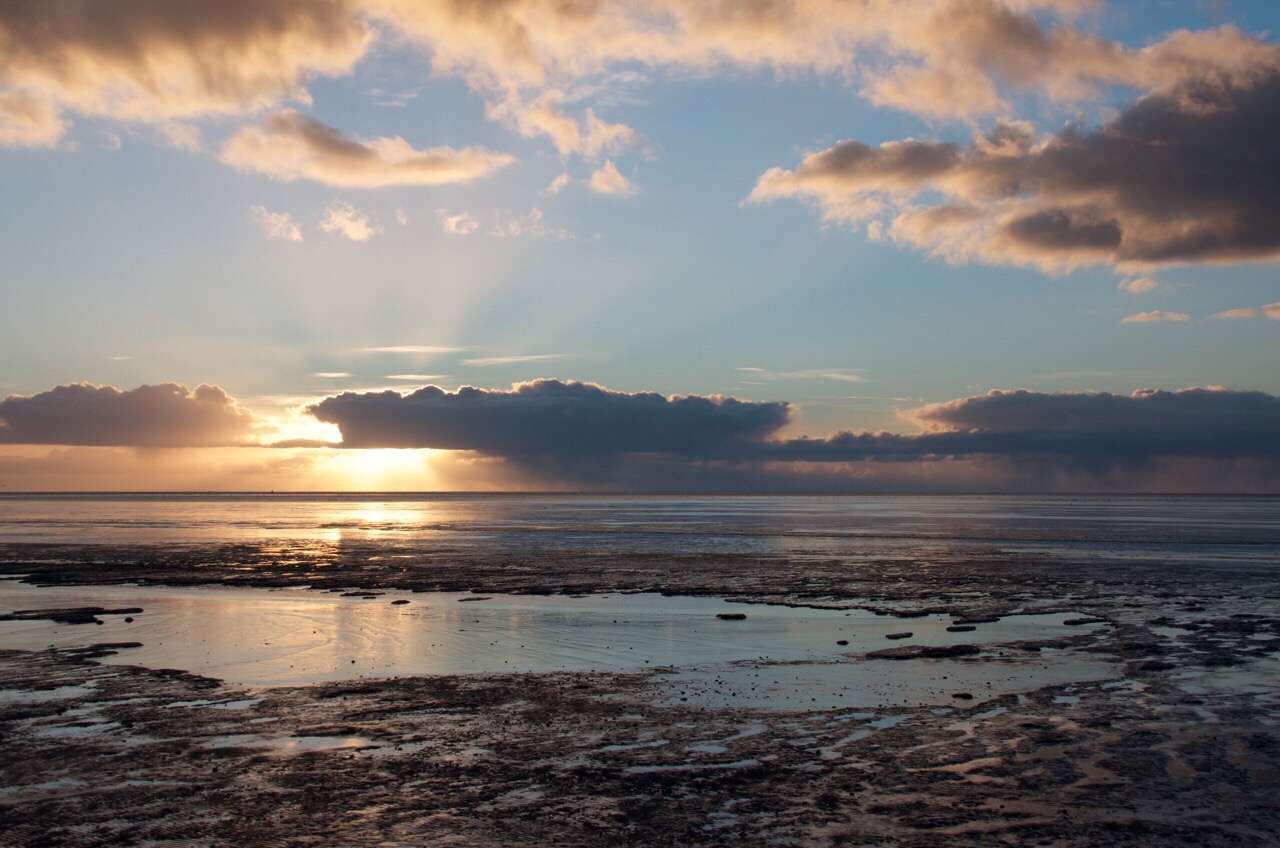 Wadlopen-Wad-Groningen-Reisroute-Nederland-Roadtrip-Activiteiten-Waddenzee